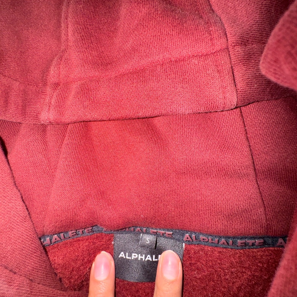 Alphalete cropped hoodie